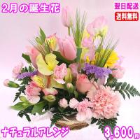 花 ギフト 誕生日 2月の誕生花チューリップピンクアレンジ3 500円 送料無料 翌日配達 花言葉付き チューリップ Ta 0216 いいhana倶楽部 通販 Yahoo ショッピング
