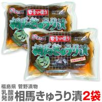 【2個セット】ウメェ相馬きゅうり漬 263g×2個 福島県漬物 賞味期限6か月前後【送料無料 ポスティング配送 同梱不可 】 | 酒の浜田屋ヤフー店