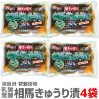 送料無料【4袋セット】ウメェきゅうりの一本漬け「菅野漬物 相馬きゅうり漬」263g【送料無料】賞味期限6か月前後 (福島県) | 酒の浜田屋ヤフー店