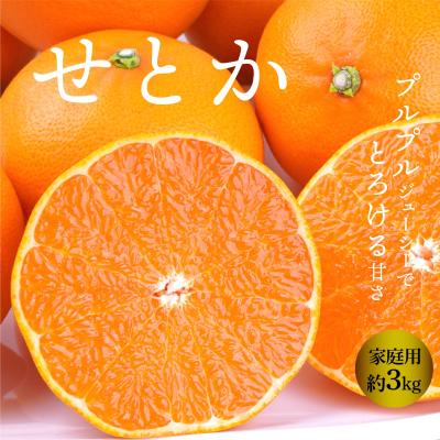 甘平みかん 10kgのおすすめ人気商品一覧 通販 - Yahoo!ショッピング