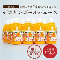 ジュース デコタンゴールストレートジュース 500ml×12本セット 送料別途 愛媛県産 ストレート | えひめギフトセンター ヤフー店
