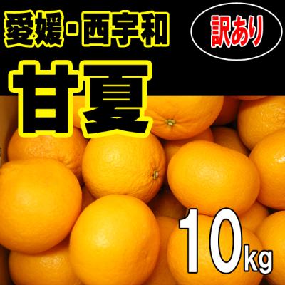 大坊みかんのおすすめ人気ランキングTOP100 - Yahoo!ショッピング