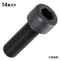 トラスコ 六角穴付ボルト 細目 スチール(SCM435) 黒染メ M10×35 P1.25 14本入 B1501035P1.25 | エヒメマシン 2号店