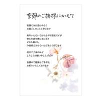 年賀状じまい はがき 年賀状やめたい 文章印刷済み 10枚入（高齢 季節のご挨拶） | 栄光