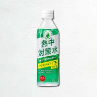赤穂化成　熱中対策水　日向夏味　500mlPET（24本入×1ケース） | eightocean