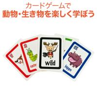 Bigger Than Card Game ビッガーザンカードゲーム 動物英単語 カードゲーム メール便送料無料 プチプレゼント | 英語伝 EIGODEN