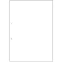 マルチプリンタ帳票 複写タイプ A4 ノーカーボン 白紙 2穴 1冊(100枚) | eジャパン
