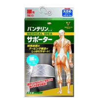 興和新薬　バンテリンコーワサポーター腰用　大きめサイズ　シャイニンググレー【イージャパンモール】 | eジャパン