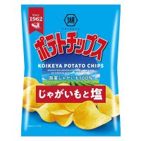 【送料無料】★まとめ買い★　湖池屋　ポテトチップス　じゃがいもと塩　60ｇ　×12個【イージャパンモール】 | eジャパン