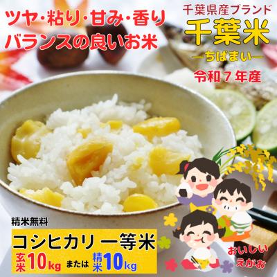 コシヒカリ　10kg 新米　玄米 新米 令和6年 茨城県産コシヒカリ玄米10kg