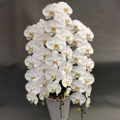 エレガントフラワー - 商品一覧（おすすめ順） - 売れ筋通販 - Yahoo