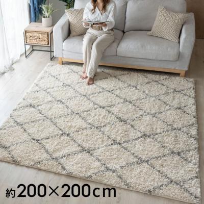 ベニワレン風　ラグ　カーペット ベニワレン風シャギーラグ〔190×240cm〕 ラグ ラグマット