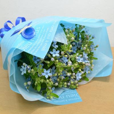 ブルースターのおすすめ人気商品一覧 通販 - Yahoo!ショッピング