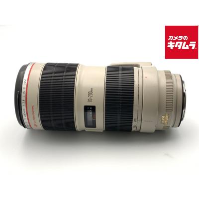 Canon EOS Kiss X2（交換レンズ）｜カメラ | テレビ、オーディオ