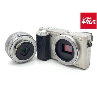 α6000 レンズ 望遠（ミラーレス一眼カメラ）｜デジタル一眼カメラ