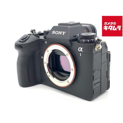 sony α1のおすすめ人気商品一覧 通販 - Yahoo!ショッピング