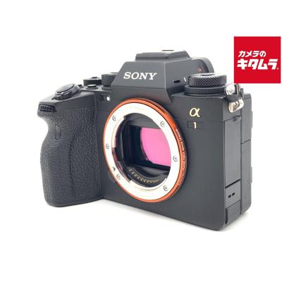 α65（ミラーレス一眼カメラ）｜デジタル一眼カメラ｜カメラ | テレビ