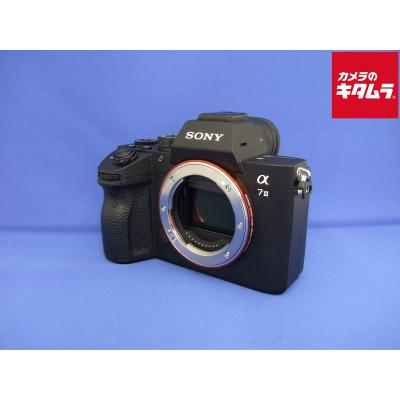 SONY a7iii（ミラーレス一眼カメラ）｜デジタル一眼カメラ｜カメラ