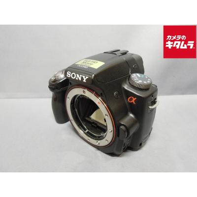 α55（デジタル一眼カメラ）｜カメラ | 家電 のおすすめ人気商品一覧