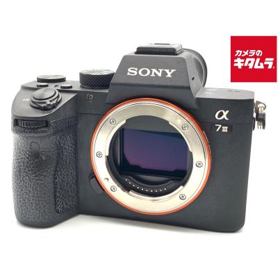 sony α7iii（カメラ） | テレビ、オーディオ、カメラ のおすすめ