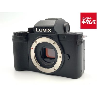 lumix dc-g100（デジタル一眼カメラ）｜カメラ | 家電 のおすすめ人気