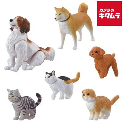 タカラトミーアニアセット（フィギュア本体）｜フィギュア | ゲーム