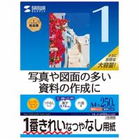 サンワサプライ JP-EM5NA4-250 インクジェットスーパーファイン用紙 A4サイズ 250枚入り | カメラのキタムラヤフー店