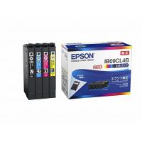 エプソン IB09CL4B インクカートリッジ 4色パック 大容量インク 《納期約２週間》 | カメラのキタムラヤフー店