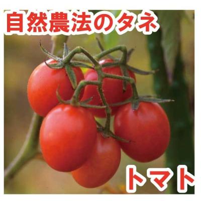 EM情報室 - トマト 自然農法のタネ｜Yahoo!ショッピング
