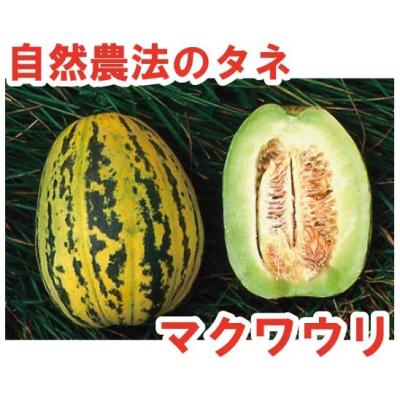 まくわうり（果菜の種）｜種、種子 | 花、ガーデニング の