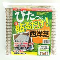 ぴたっと貼るだけ西洋芝1平米分 | 園芸ネット
