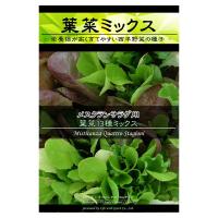 レタスミックス：メスクランサラダ用　葉菜13種ミックス 野菜タネ * 