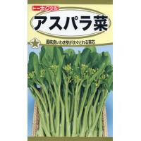 アスパラ菜の種　F1　アスパラ菜　4ml　品番1781　種子　たね | 園芸商人