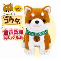 音声認識ぬいぐるみ しばいぬコウタバンダナ付きセット 柴犬 会話できる 音声認識 ぬいぐるみ 癒し 高齢者 話し相手 プレゼント バンダナ付き コウタ ファミラ | エンジョイ特選館 Yahoo!店