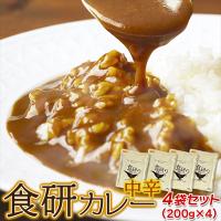【ゆうパケット出荷】20種類以上のスパイス使用！美味しいレトルト食研カレー4食(200g×4袋) | エンジョイ特選館 Yahoo!店