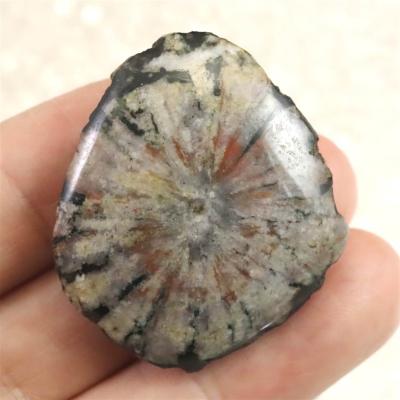 菊花石　大 岡山のパワーストーン、風水・開運グッズのお店 龍祥本舗 / 菊花