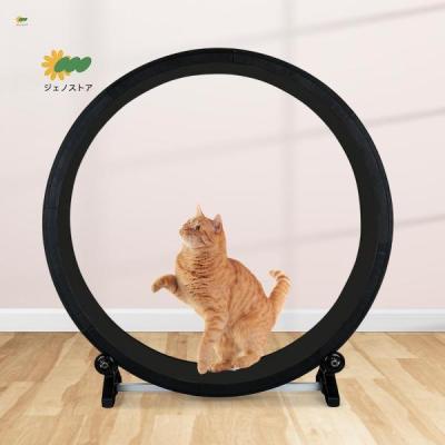 猫 キャットホイールの商品一覧 通販 - Yahoo!ショッピング 猫 キャットホイールの商品一覧 通販 - Yahoo!ショッピング