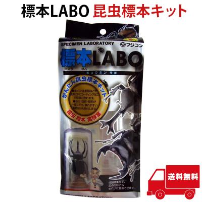 昆虫標本セットの商品一覧 通販 - Yahoo!ショッピング 昆虫標本セットの商品一覧 通販 - Yahoo!ショッピング