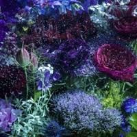 あなたに出会わなければ 夏雪冬花 Aimerのおすすめ人気商品一覧