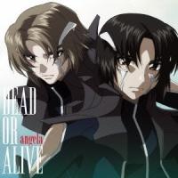 angela／DEAD OR ALIVE《通常盤》 【CD】 | ハピネット・オンラインYahoo!ショッピング店