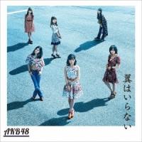 AKB48／翼はいらない《通常盤／Type C》 【CD+DVD】 | ハピネット・オンラインYahoo!ショッピング店