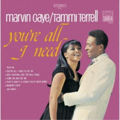 マーヴィン・ゲイ（CD種類：国内盤）の商品一覧 通販 - Yahoo!ショッピング