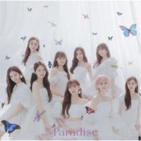 NiziU／Paradise《通常盤》 【CD】 | ハピネット・オンラインYahoo!ショッピング店