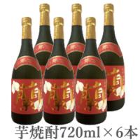 全芋焼酎 蘭の商品一覧 通販 - Yahoo!ショッピング