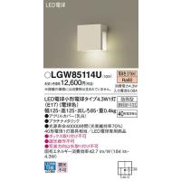 メーカー欠品/生産待ち90日以上/パナソニック「LGWC40490LE1」LED 