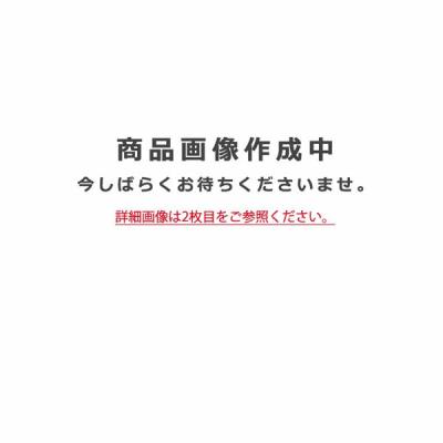 【イエロー】【代引・後払い不可】【OG254894ND】オーデリック　エクステリアライト LEDランプ 演色性(Ra)：80