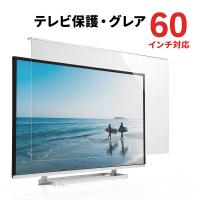 テレビ保護パネル 60インチ対応 液晶テレビ TV カバー 保護 アクリル製 破損防止 傷防止 汚れ防止 ペット 子供 EZ2-CRT019 | イーサプライ ヤフー店