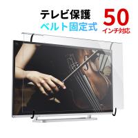 テレビ保護パネル テレビフィルター 50インチ キズ防止 厚み3mm 透過率90% 落下防止ベルト付き 光沢 CRT031 EZ2-CRT031 | イーサプライ ヤフー店