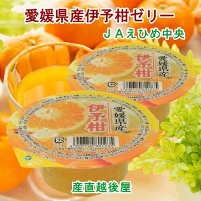 伊予柑ゼリー えひめ中央のおすすめ人気商品一覧 通販 - Yahoo