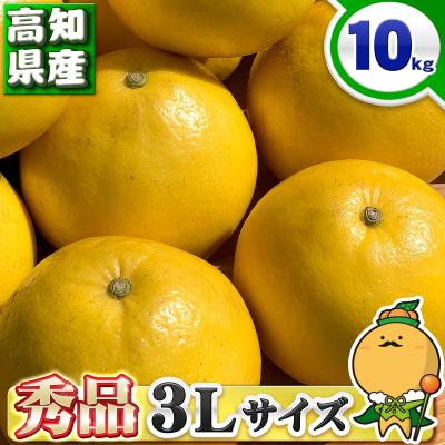 高知県産 土佐文旦 贈答用・秀品 3Lサイズ 大玉 約10kg 贈り物に最適